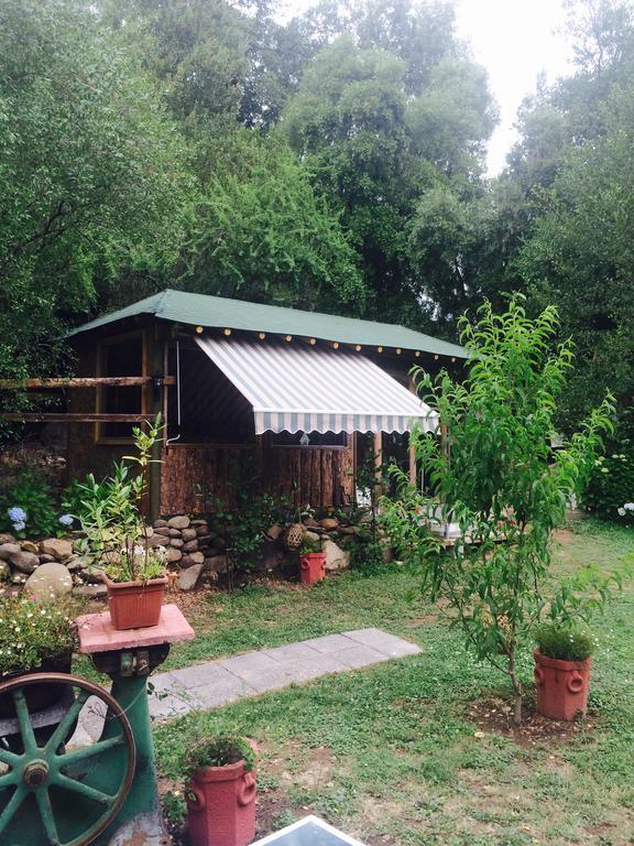 Cabanas Rahue Вильчес Экстерьер фото